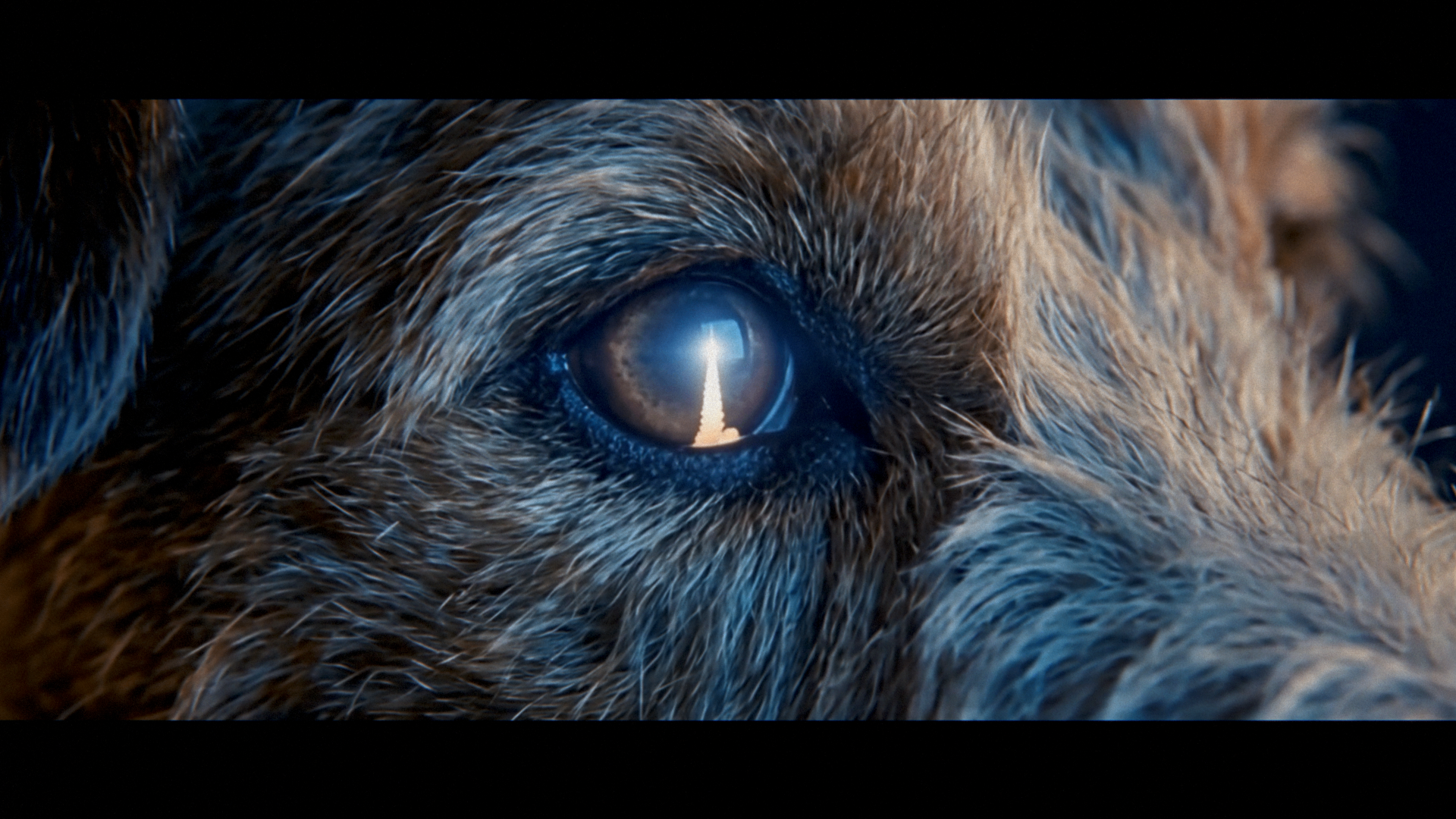 Genius — Concept Commercial